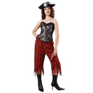 Rachel Wall Striped Pants