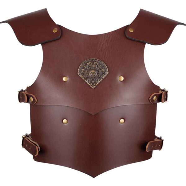 Childrens Lionheart Armour