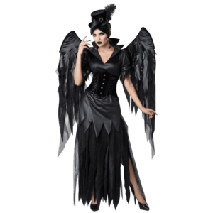 Midnight Raven Deluxe Womens Costume