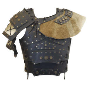 Barbarian's Armor