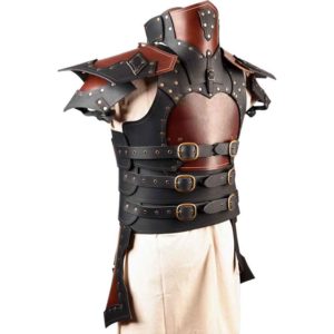 Paladin's Armor