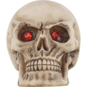 6 Piece Gemmed Skull Set