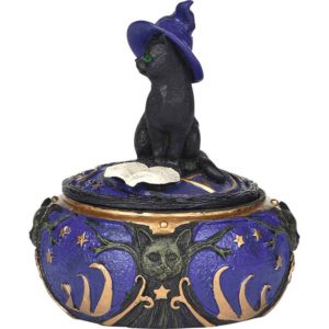 Magical Cat Box