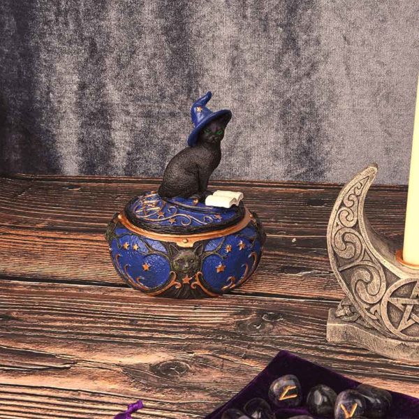 Magical Cat Box