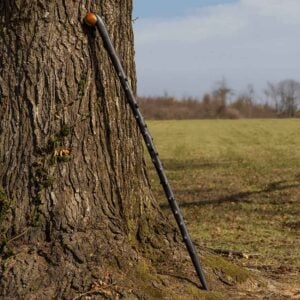 Irish Blackthorn Walking Staff