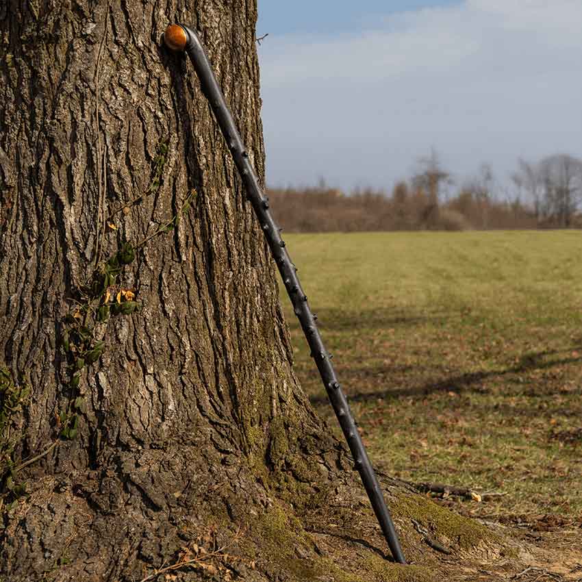 Irish Blackthorn Walking Staff