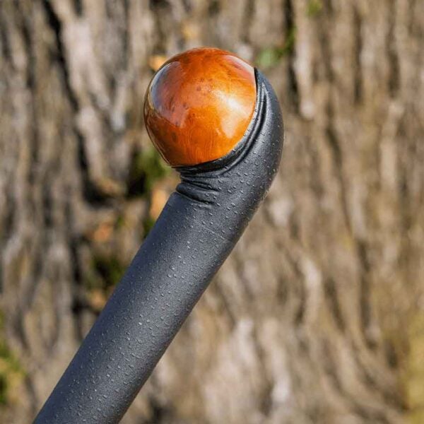 Irish Blackthorn Walking Staff