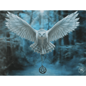 Awake Your Magic Art Print