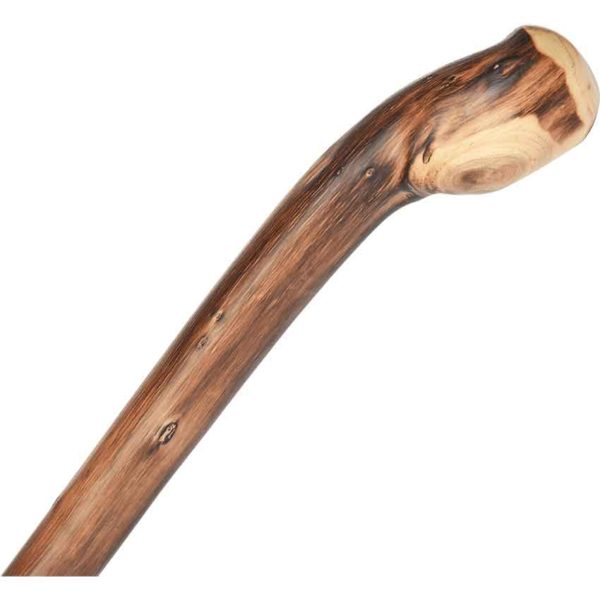 Appalachian Chestnut Walking Cane