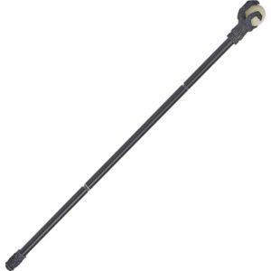 Dragon Claw Walking Cane