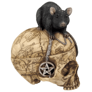 Etched Salem Witch Skull and Mouse Box