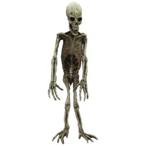 Dead Monkey Skeleton
