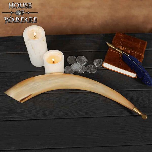 Aesir Drinking Horn