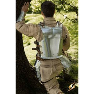 Backplate for Warrior or Drake - Size Medium