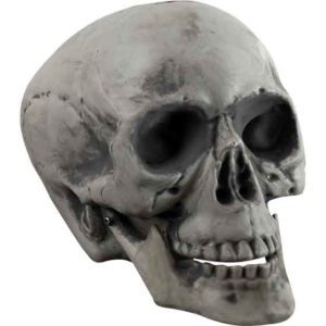 Plastic Skull Prop