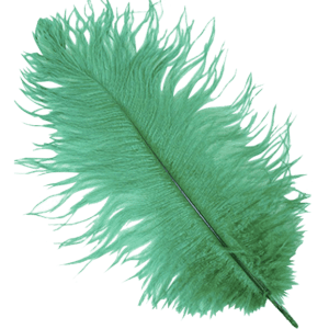 Emerald Ostrich Feather Plume
