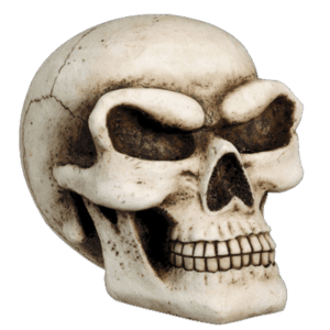 Skull Money Bank