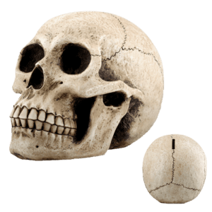 Skull Money Bank