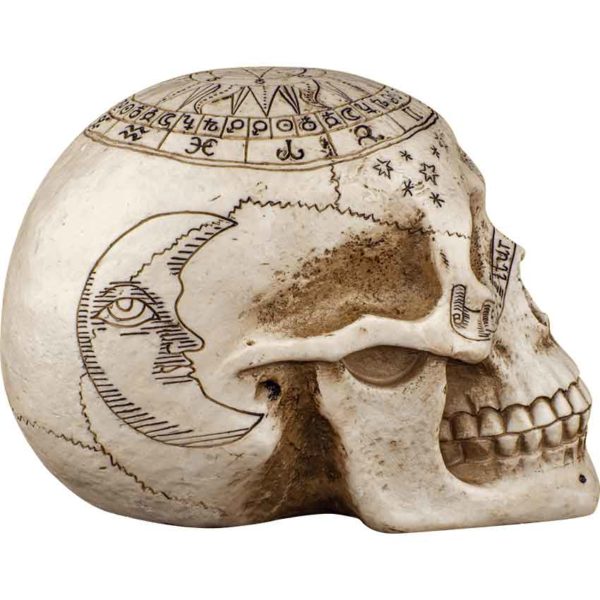 Astrology Skull