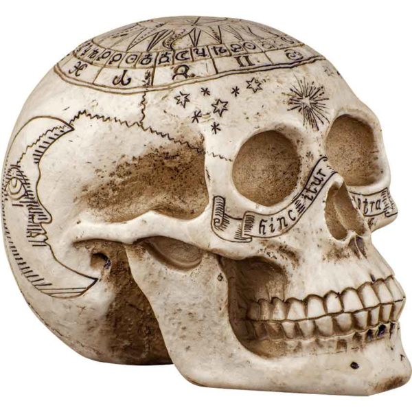 Astrology Skull