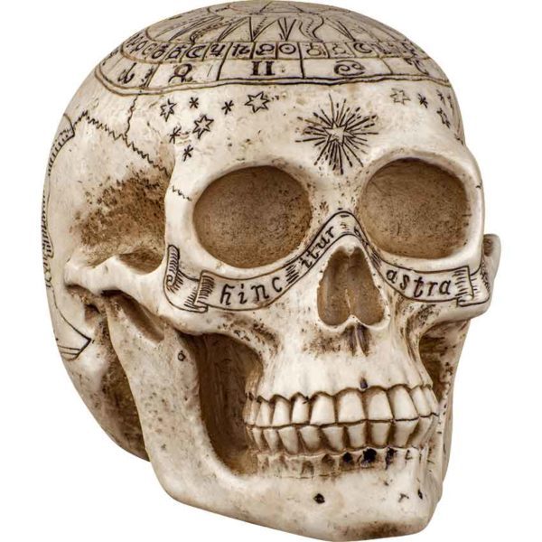 Astrology Skull