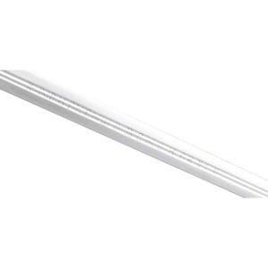River Witham Sword