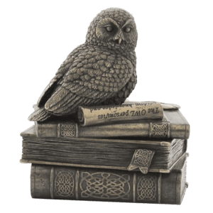 Bronze Owl On Books Trinket Box