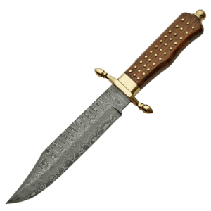 Brass Pinned Damascus Bowie Knife