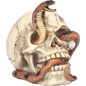 Cobra Skull Statue