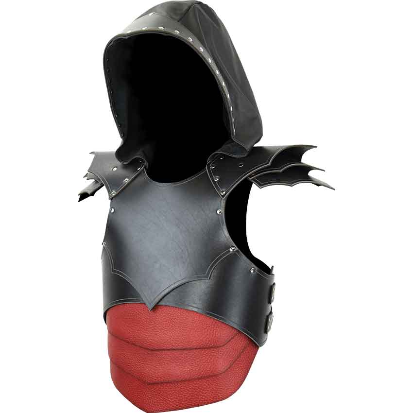 Dragon Rider Leather Armour