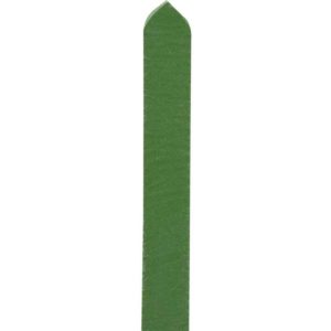 Medieval Leather Buckle Belt - Green