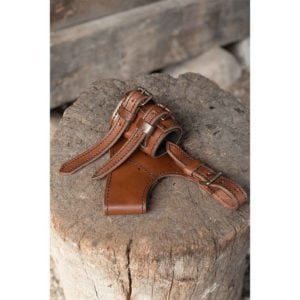 Adventurer Sword Holder