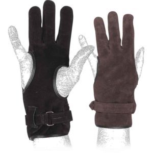 Robin Archers Glove