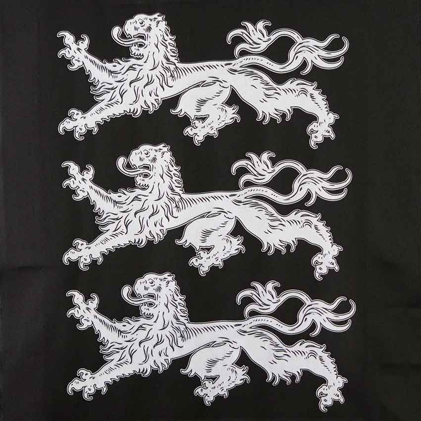 Richard The Lionheart Heraldic Banner - Silver