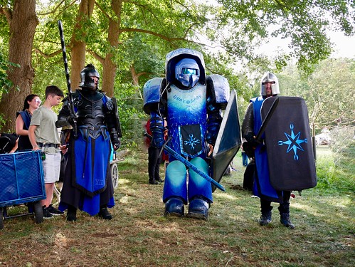 people wearing armor, shield and sword on the green field