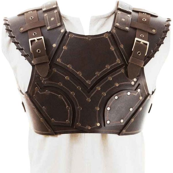 Scoundrel Torso Armor with Hood