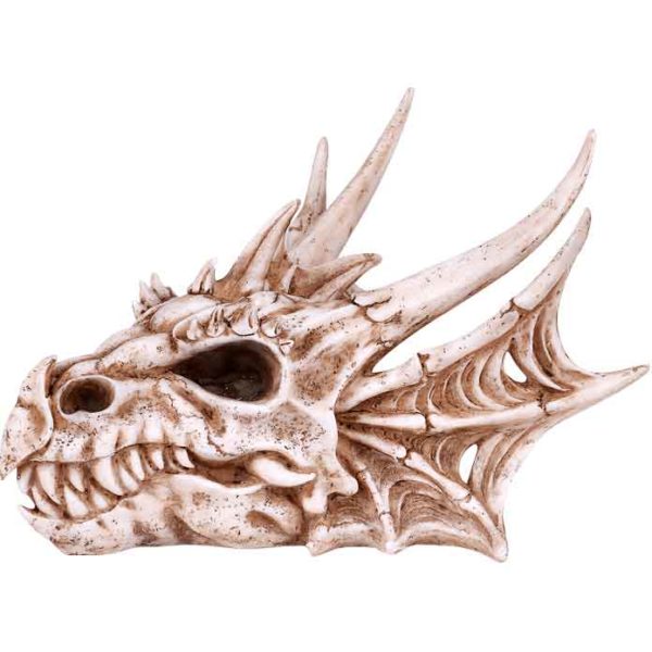 Horned Dragon Skull Statue