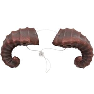 Brown Dragon Horns