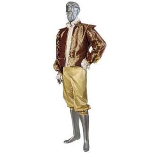 Damask Renaissance Doublet