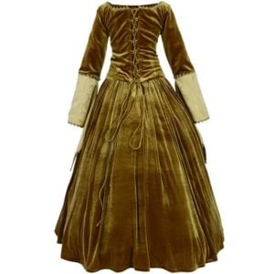 Graceful Royal Velvet Gown