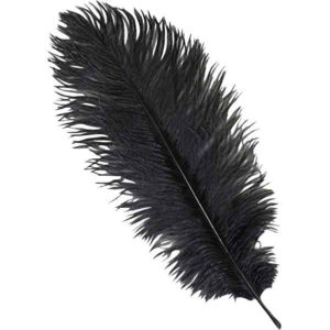 Black Ostrich Feather Plume