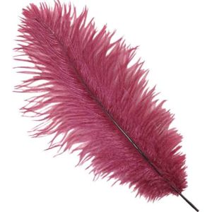 Burgundy Ostrich Feather Plume