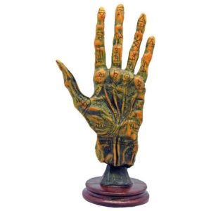 Alchemy Palmistry Hand