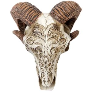 Scrimshaw Ram Skull