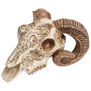 Scrimshaw Ram Skull