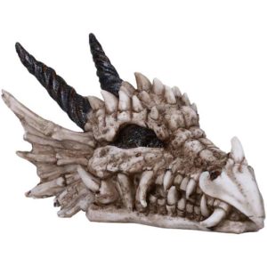 Dragon Skull Statue