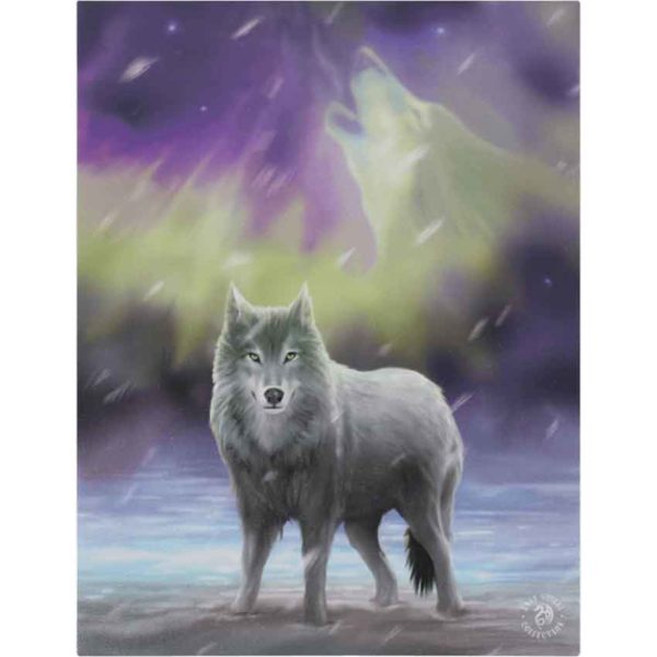 Aurora Canvas Print by Anne Stokes