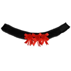 Velvet and Roses Choker