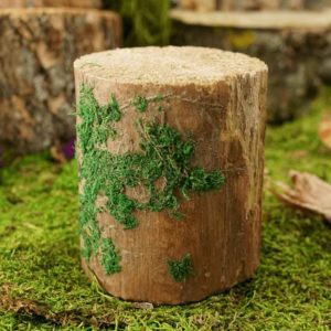 Decorative Mossy Tree Stump