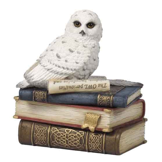 Snow Owl On Books Trinket Box